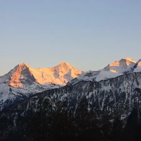 140 M2 Op Het Alpen-zonneterras Interlaken / * Beatenberg
